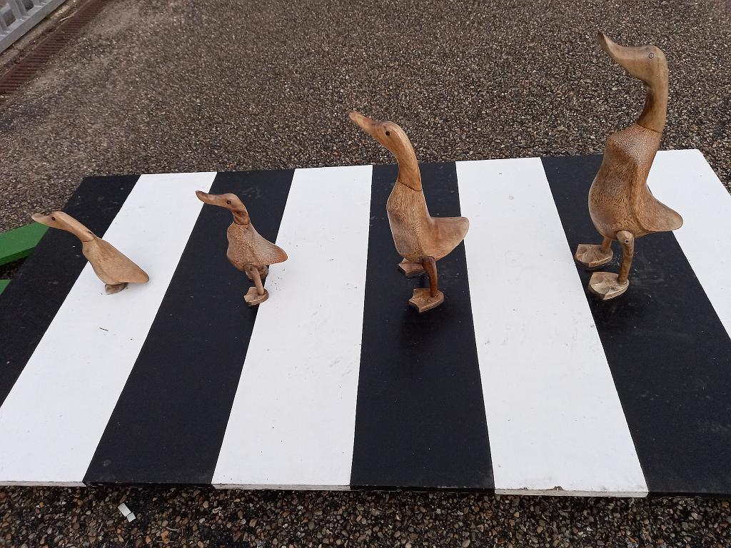 SchleswigKappeln (58)